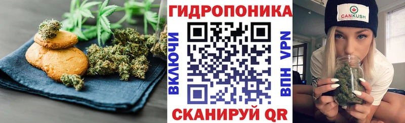 купить наркотики сайты  Дальнегорск  Canna-Cookies марихуана 