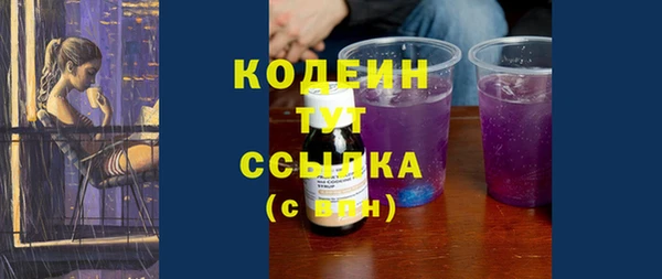 гашик Бородино