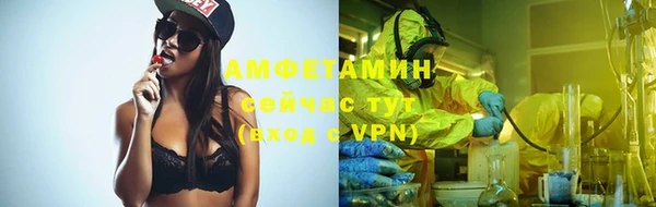 гашик Бородино