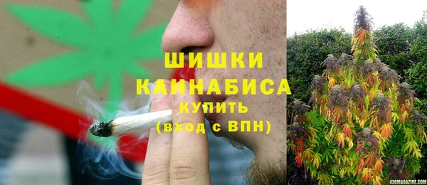 гашик Бородино