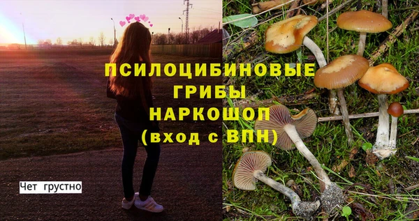 синтетический гашиш Бронницы