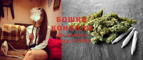гашик Бородино