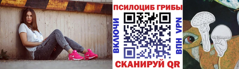 Псилоцибиновые грибы Psilocybe  Дальнегорск 